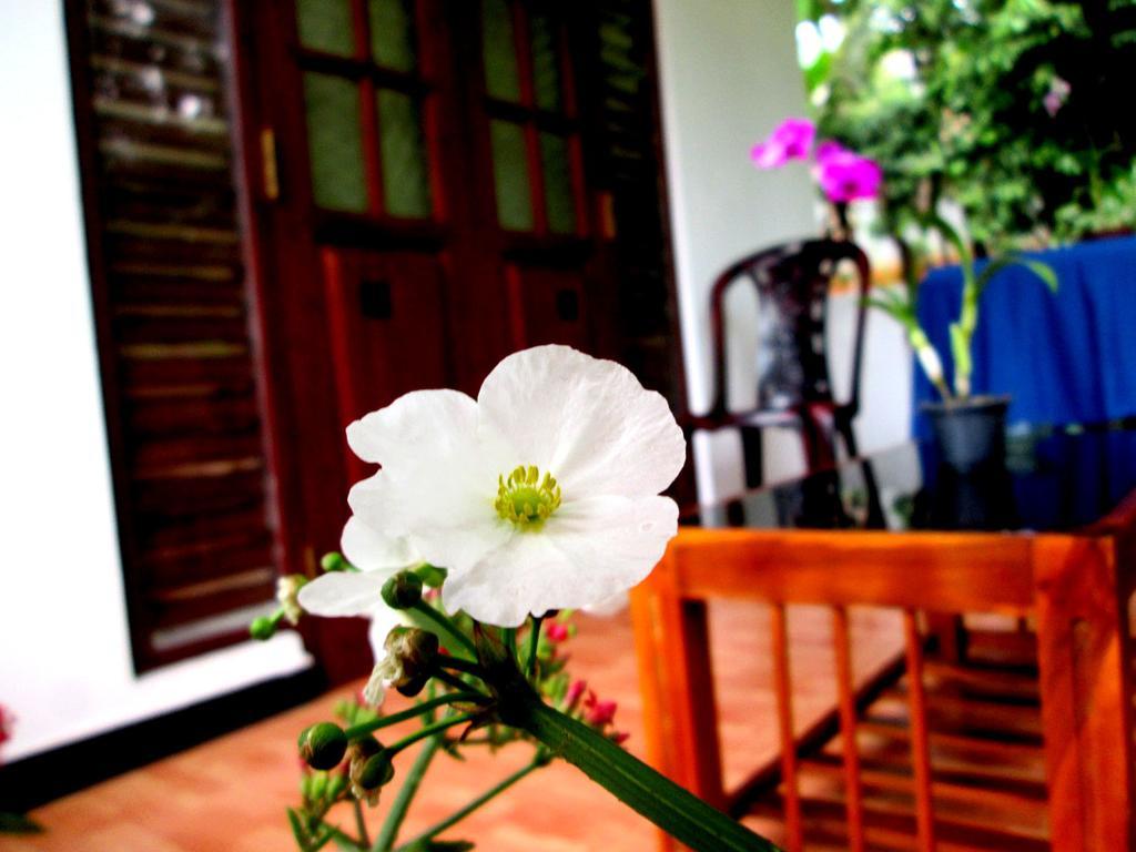 Ranga Villa 希克杜沃 外观 照片