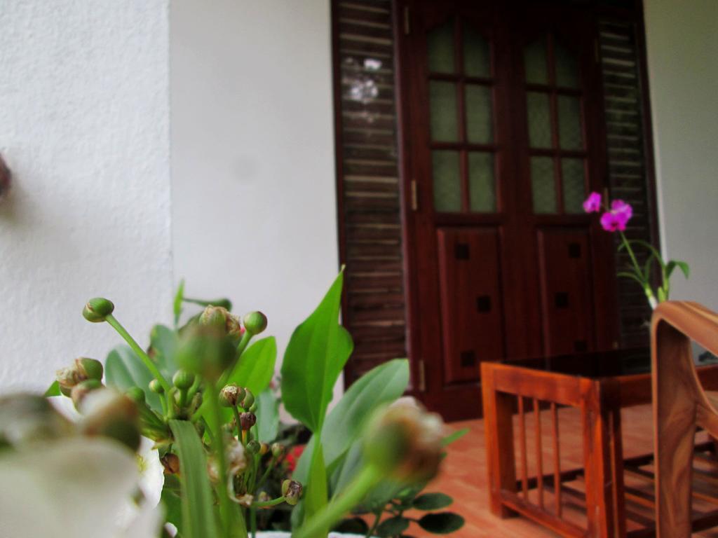 Ranga Villa 希克杜沃 外观 照片