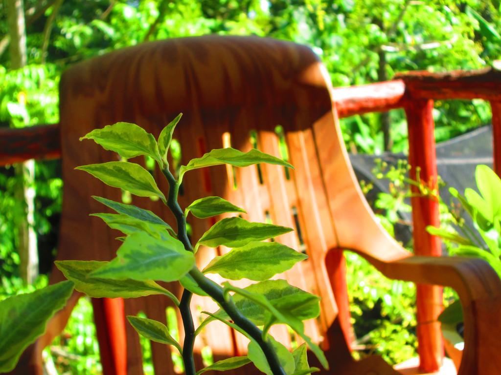 Ranga Villa 希克杜沃 外观 照片