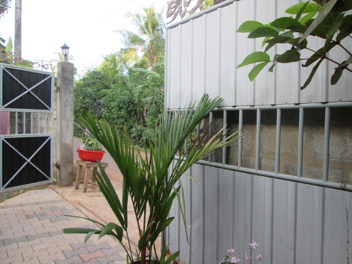 Ranga Villa 希克杜沃 外观 照片