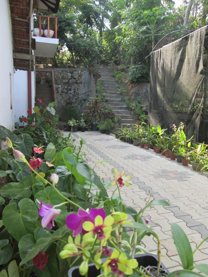 Ranga Villa 希克杜沃 外观 照片