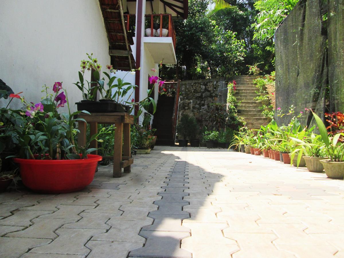 Ranga Villa 希克杜沃 外观 照片