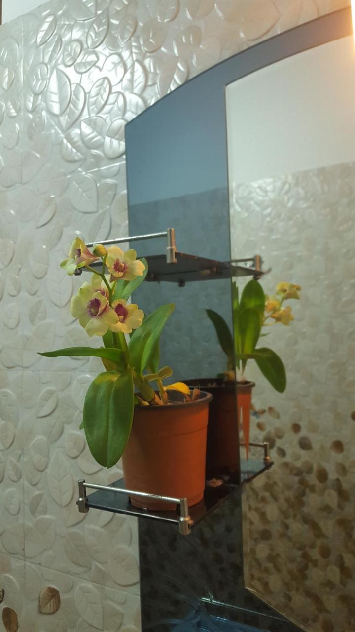 Ranga Villa 希克杜沃 外观 照片