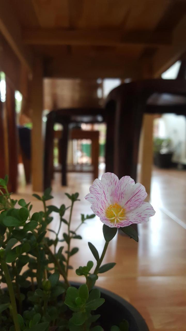 Ranga Villa 希克杜沃 外观 照片
